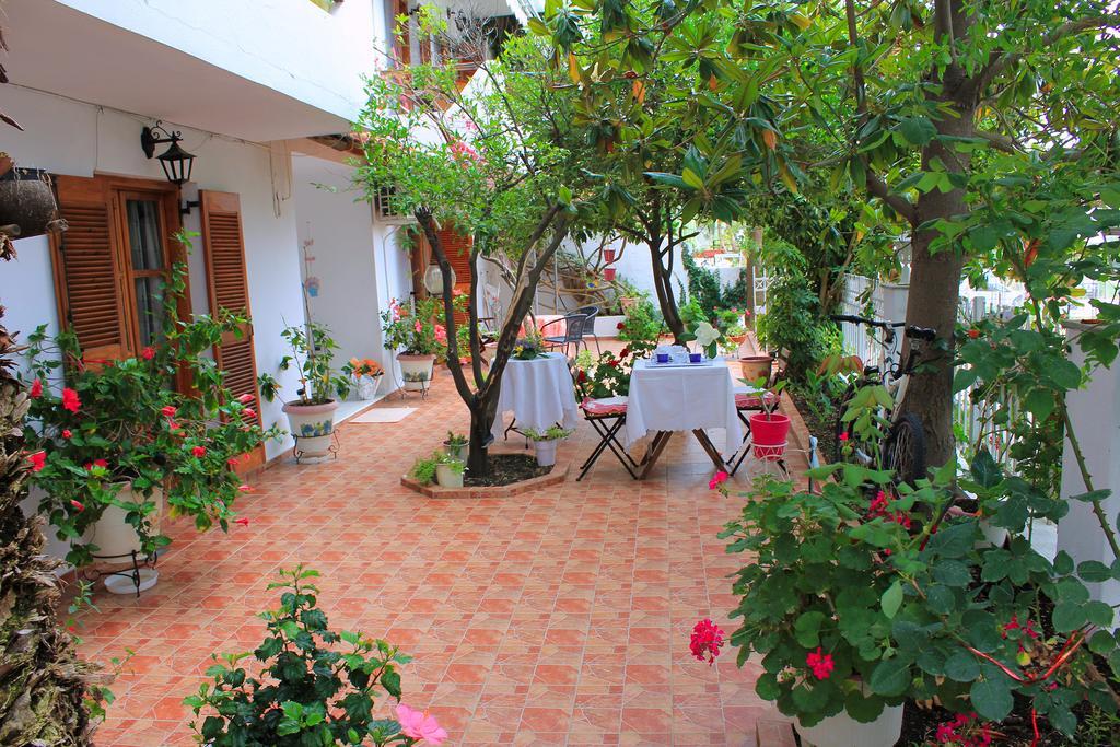 Vaya Zorba Studios Skiathos by Værelse billede